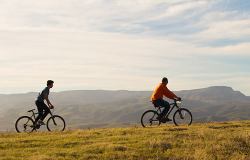 Cycling trails on the reserve